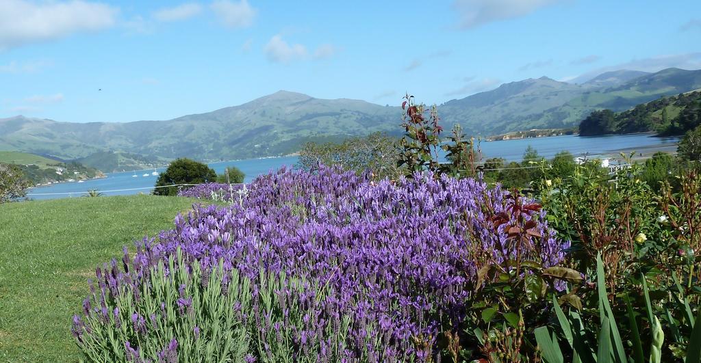 L'Abri Bed And Breakfast Akaroa Zewnętrze zdjęcie