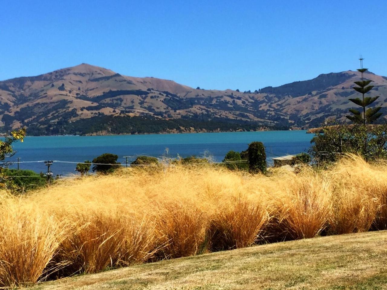 L'Abri Bed And Breakfast Akaroa Zewnętrze zdjęcie